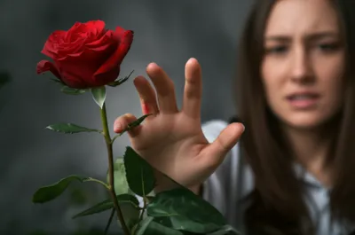 Illustration stings - Image 1