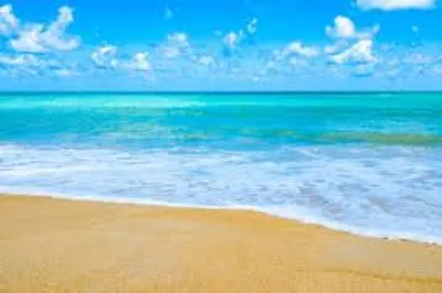 Illustration seashore - Image 2