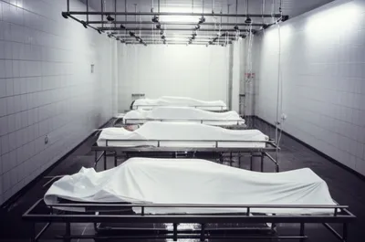 Illustration lavatory - Image 1