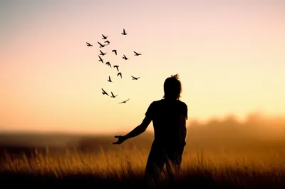 Illustration forgetting