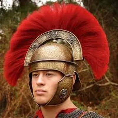 Illustration crest - Image 3