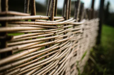 Illustration raddles - Image 1