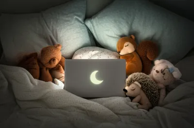 Illustration hibernation - Image 1