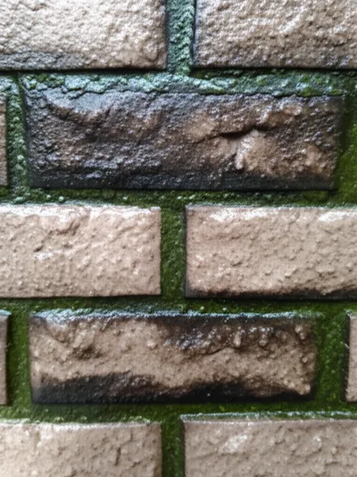 Illustration damp - Image 1