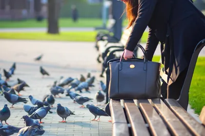 Illustration larceny - Image 1