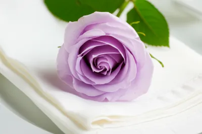 Illustration picked - Image 1