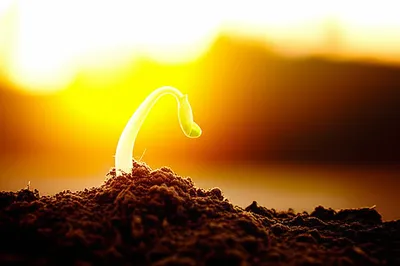 Illustration awaken - Image 1