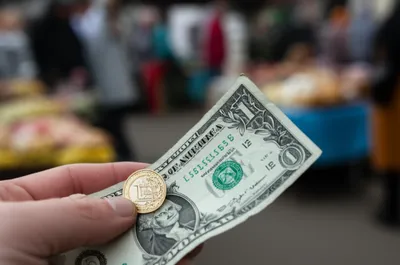 Illustration lats - Image 1