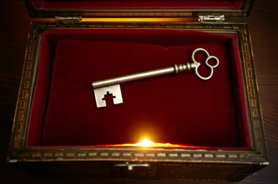 Illustration peculiarity - Image 1