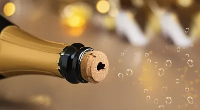 Illustration cava - Image 1