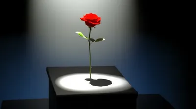 Illustration elevated - Image 1