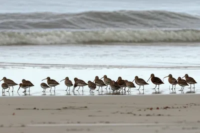 Illustration stint - Image 1