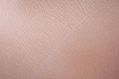 Illustration snipped - Image 1