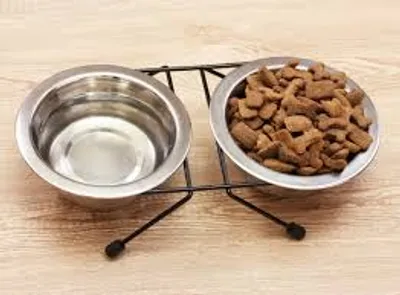 Illustration dish - Image 2