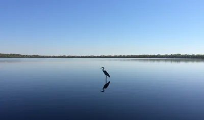 Illustration motionless