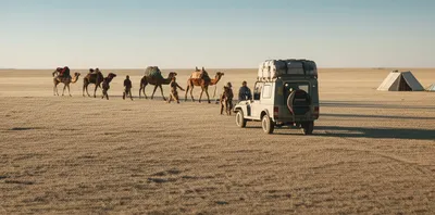 Illustration safari - Image 1