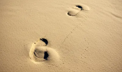 Illustration following - Image 1