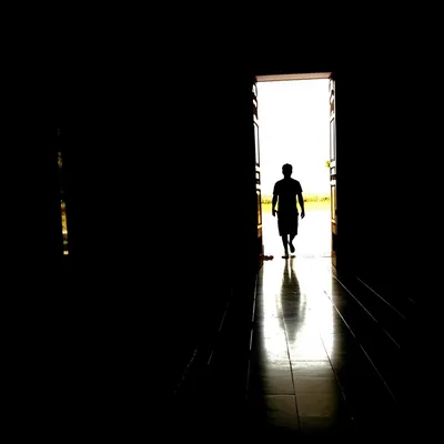 Illustration enters - Image 1