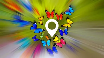 Illustration bat - Image 1