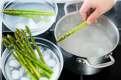 Illustration blanch - Image 1