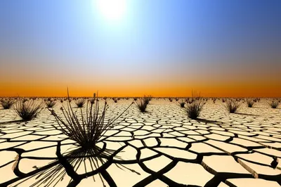 Illustration scorched - Image 1