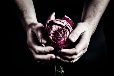 Illustration violate - Image 1