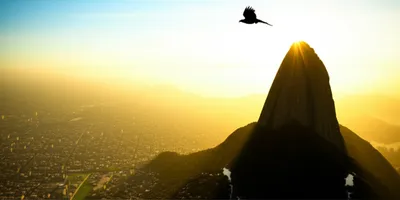 Illustration highest - Image 1