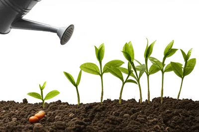 Illustration stretch - Image 1