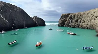 Illustration cove - Image 1