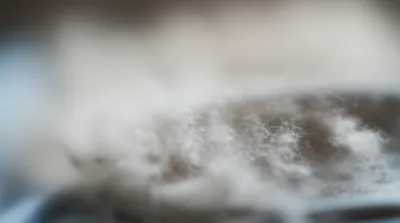 Illustration flue - Image 1