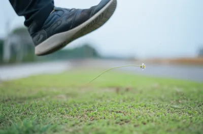 Illustration spurn - Image 1