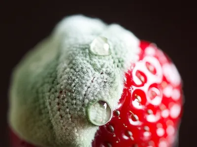 Illustration spoiled - Image 1