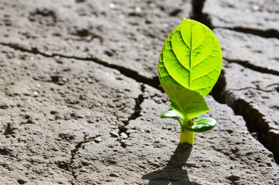 Illustration amends - Image 1