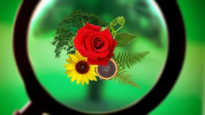 Illustration generalises - Image 1