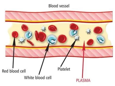 Illustration plasma - Image 2