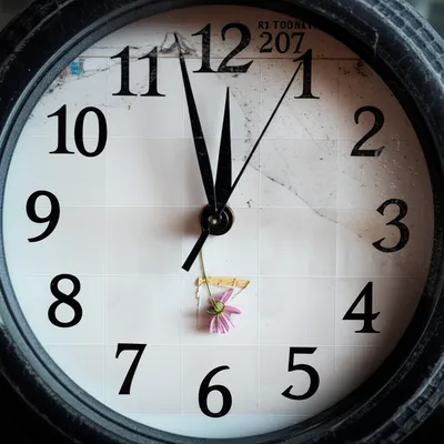 Illustration adjourned