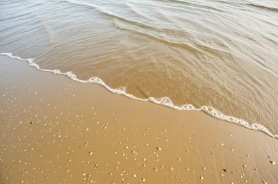 Illustration recede - Image 1