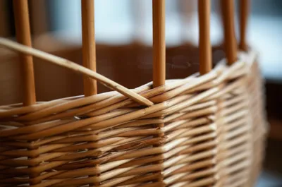 Illustration rand - Image 1