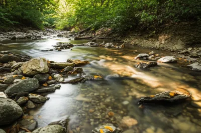 Illustration murmurs - Image 1