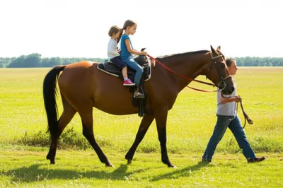 Illustration rides - Image 1