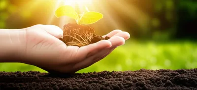 Illustration comforts - Image 1