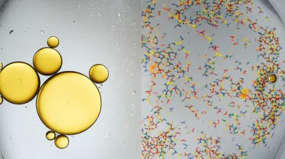 Illustration solubilize - Image 1