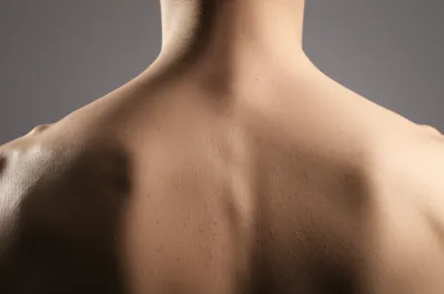 Illustration bony - Image 1