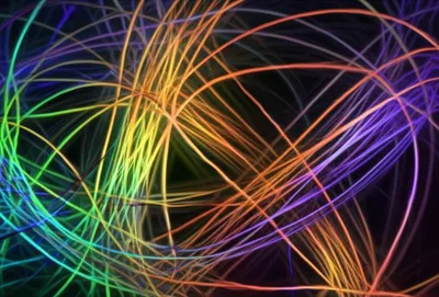 Illustration wild - Image 1