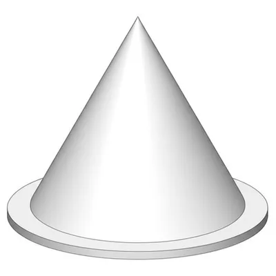 Illustration conus - Image 1