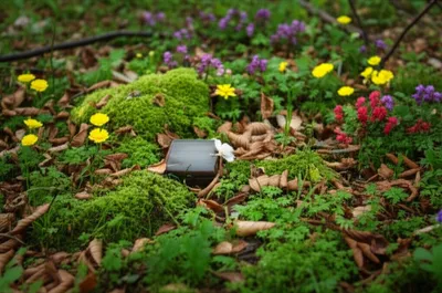 Illustration beneath - Image 1