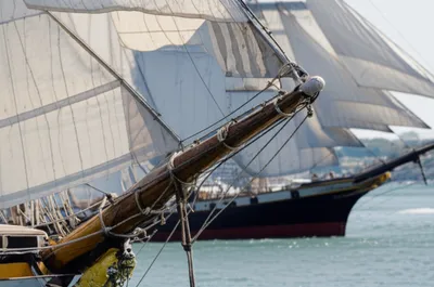 Illustration clews - Image 1