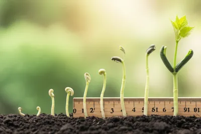 Illustration measures - Image 1