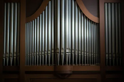 Illustration languid - Image 1