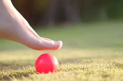 Illustration toes - Image 1